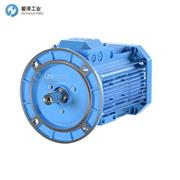 ABB電機(jī)M3AA160 MLA2 B35 3GAA161410-ADG