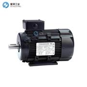 MARATHON電機090LT17FH6326