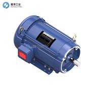 MARATHON電機213TTFBD6028