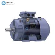 MARATHON電機TCA0112AE211GAA009