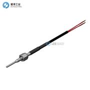 PENTRONIC熱電偶5810184-001