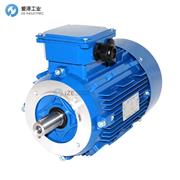 JS-TECHNIK電機SEV-MX3-132S-6 3X26112113A00