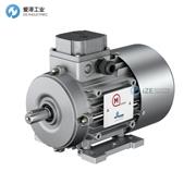 MOTOVARIO電機(jī)TH71C4 0,55 230/400-50 B14 IE