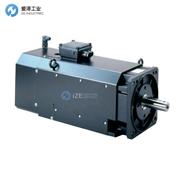 WITTUR電機(jī)DSF1-33-24A.71-CUB