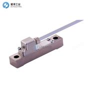 X-SENSORS應(yīng)變傳感器X-113-H07-440