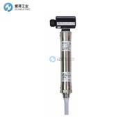 GESTRA液位監(jiān)測器NRG26-21