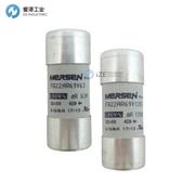 MERSEN熔斷器FR22AR69V100T