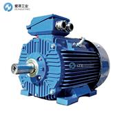 CANTONI電機(jī)3SIEL90L2