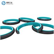 TRELLEBORG格萊圈RDD300700-T46N