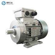 BER-MAR電機(jī)MS802-4-B14