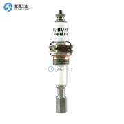 AUBURN傳感器WCC-12K UC