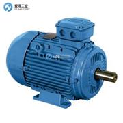 WEG電機W21 IE3 37KW 2P 200M/L