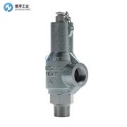 MERCER安全閥91-36E11T17N1