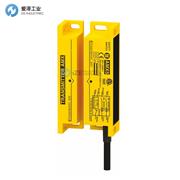 COMITRONIC-BTI安全開(kāi)關(guān)AMX5/6M