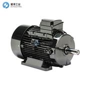 LAFERT電機(jī)AMPE132MZA2