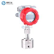 NEXON流量計(jì)FTB250GF13TCCS8L1VAA420ST0