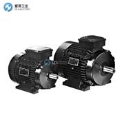 AEG電機(jī)AMPE90LDA2