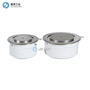 TECHSEM晶閘管KP1000A6500V